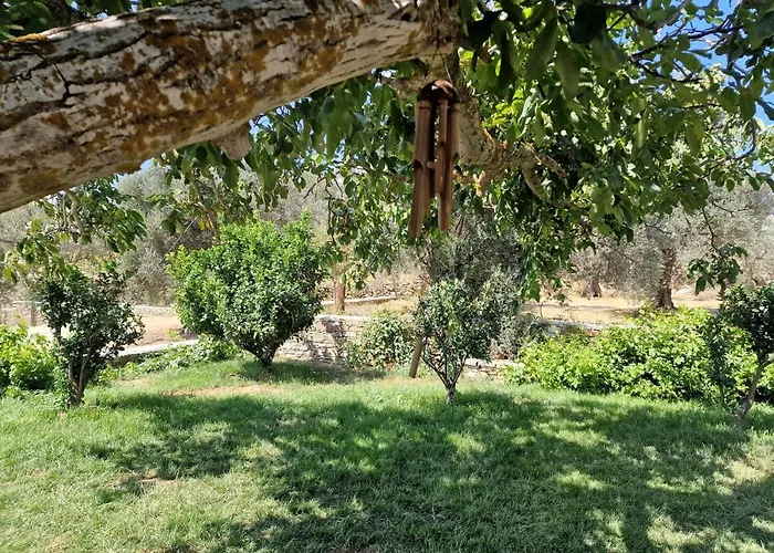 Pyrgos - Traditional House At Kaloxilos, Naxos 펜션 *