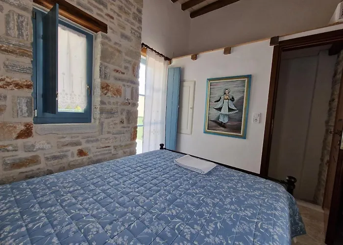 Pyrgos - Traditional House At Kaloxilos, Naxos 펜션