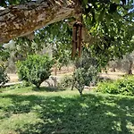 Pyrgos - Traditional House At Kaloxilos, Naxos Holiday home *