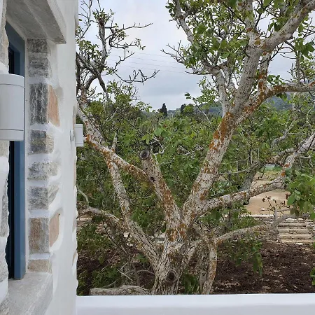 Σπίτι διακοπών Pyrgos - Traditional House At Kaloxilos, Naxos