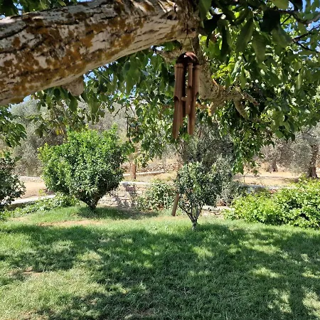 Pyrgos - Traditional House At Kaloxilos, Naxos Prázdninový dům *